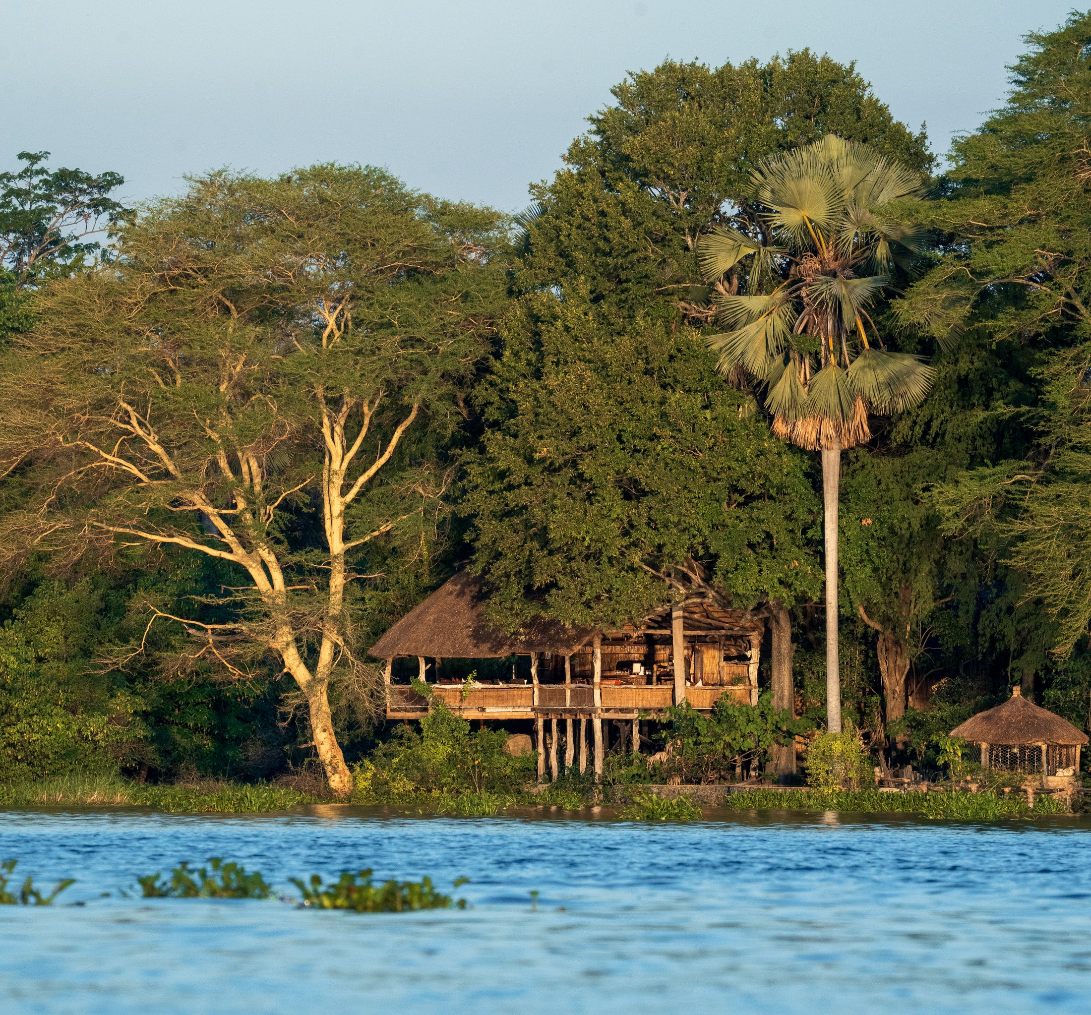 Mvuu Lodge upper dining deck beside the river and palms.